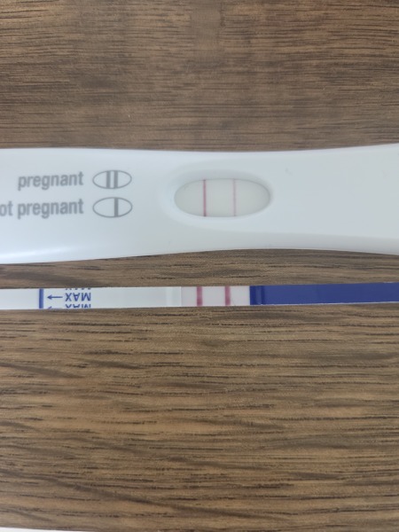 Did anyone's pregnancy tests stop getting darker?