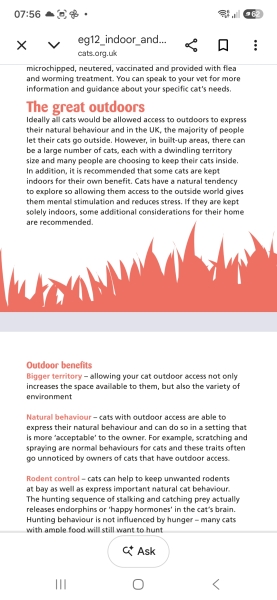 AIBU to think cats should not roam unsupervised like dogs?