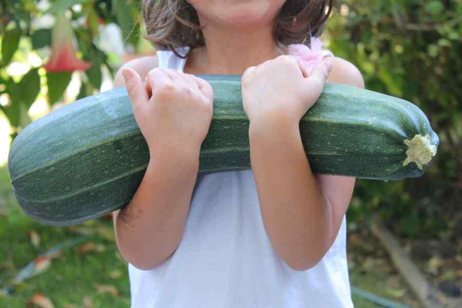 What can I do with overgrown courgettes?