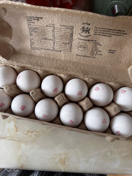 Are these eggs alright ?