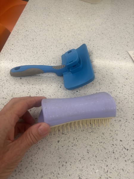 Brush recommendations for a Tibetan terrier who dislikes grooming