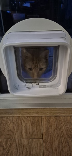 Cat flap