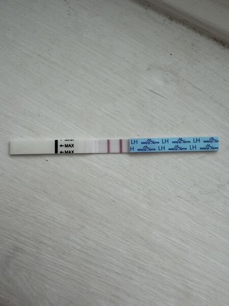 So annoyed with Lh strips