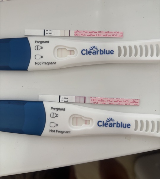 Does this pregnancy test line progression look reassuring at 14dpo?