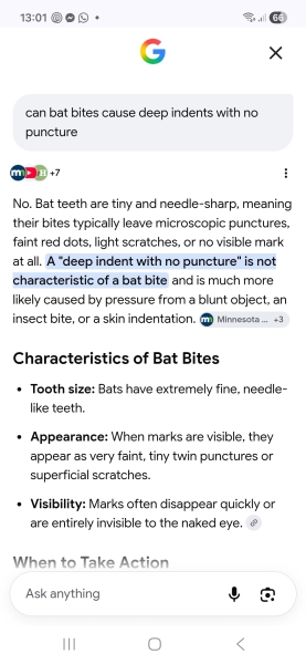 I need to be told I'm being ridiculous. Rabies/ bats?