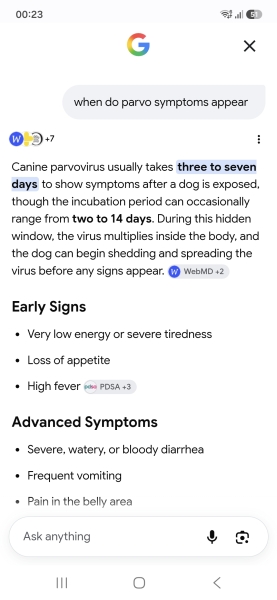 My dog may get ill and her insurance is invalid because of my stupidity (please get your dogs boosters)