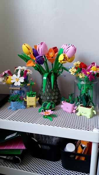 To show me your LEGO collection- Part 2