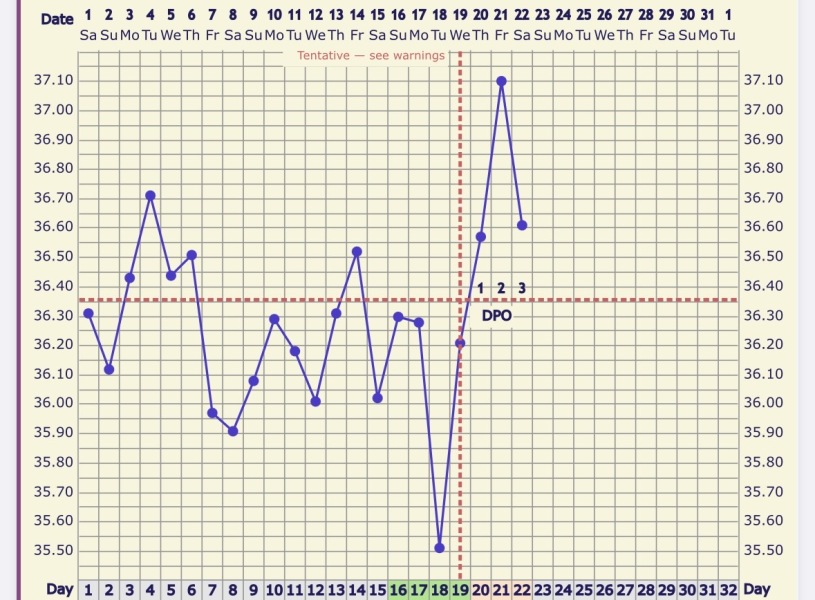 Can anyone help me interpret my temping chart!