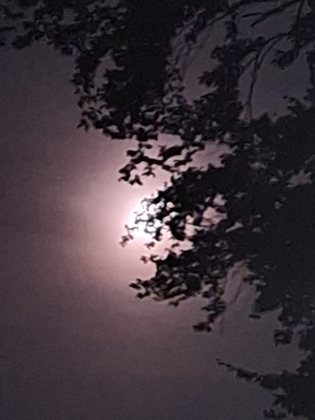 Any Witches Here? Part 21