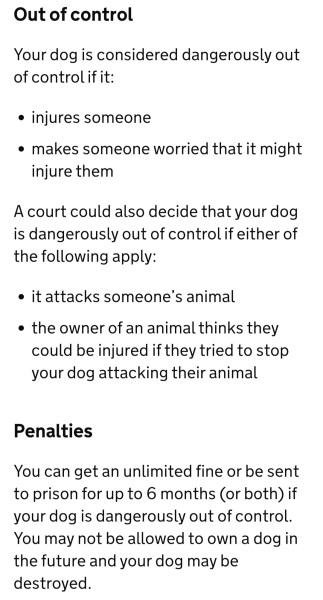 AIBU to say an owner was irresponsible after his dog jumped at my toddler?