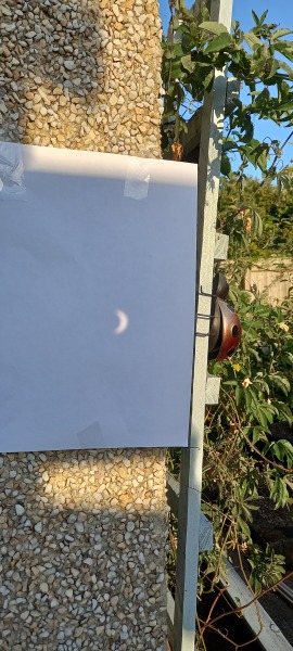 Eclipse- is it safe to watch through your phone on selfie mode?