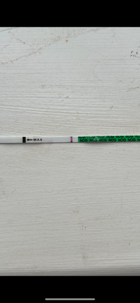 Can anyone see a line on this pregnancy test?