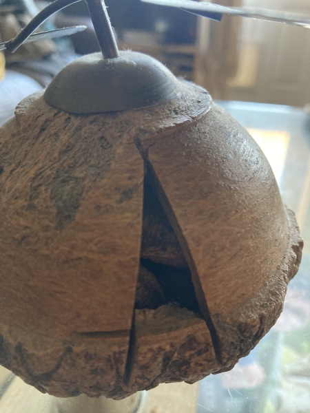 Ideas for things to bring home from Brazil?