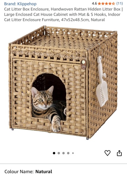 Best litter & tray set up for indoor cat
