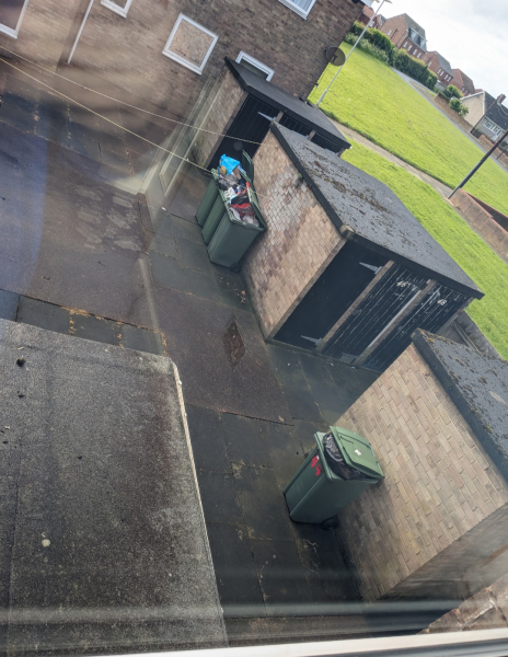 AIBU to use my tumble dryer for all washing now?