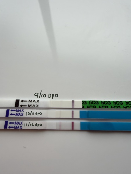 Does this line progression look reassuring after a previous chemical pregnancy?