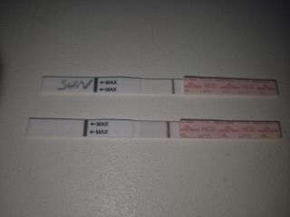 TTC on Clomid anyone?