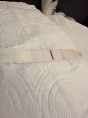 Could this be an indent line on an Ovum pregnancy test?