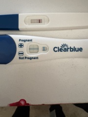 Evap lines or faint positives?
