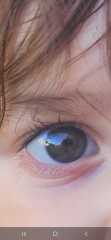 What colour are my toddlers eyes?