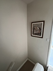 What could I put above an olive tree on the stairs?