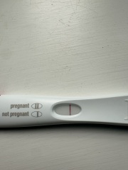 Could this faint pregnancy test line be positive at 14 weeks postpartum?
