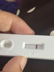Pregnant??🥺