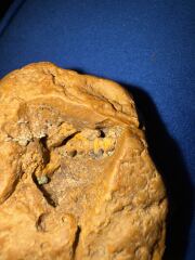 Is this a fossil?