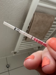 Anyone TTC after a recent early loss and wanting support? (Aug 26)