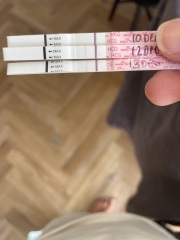 10dpo/line progression