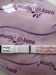 4dp5dt potential line on strip test