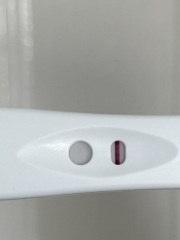 10 DPO Test TTC#2