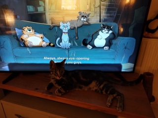 Alley Cats on Netflix
