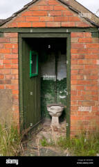 Am I unreasonable to be upset by my neighbour's outside toilet noise?
