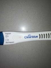 Blue dye bfp and pink dye bfn