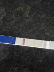 Faint line