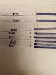 IVF - July Transfers