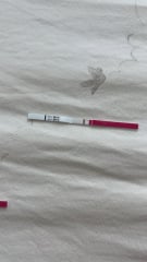 Pregnancy test