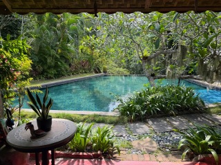 AIBU to think our jungle retreat was the most magical place I can imagine