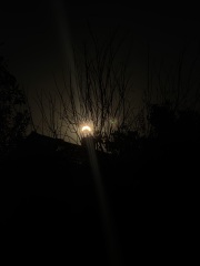 Solar eclipse this evening.