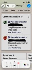 Common/potential ancestors on Ancesty
