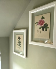 What paint colour is this?