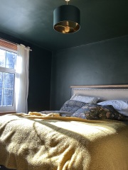 Can DIY painting achieve a professional finish for halls and downstairs?