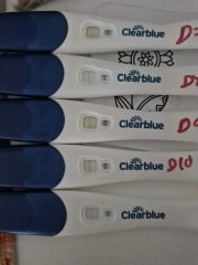 IVF - July Transfers