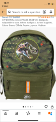 Would a dinosaur school bag make my Year 5 son stand out?