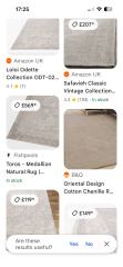 Identify rug please