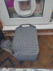 How long did your cat take to understand a cat flap, and any tips?