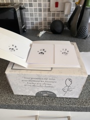Struggling with grief after losing our much loved cat so suddenly