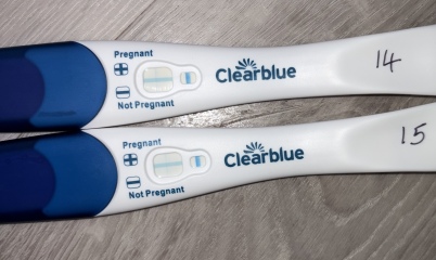 Blue dye bfp and pink dye bfn