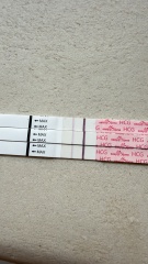 Anyone else had little line progression at 11 to 13 DPO?